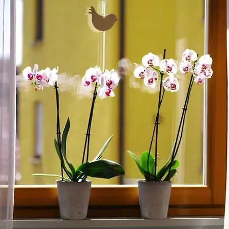 Apartment Refugium