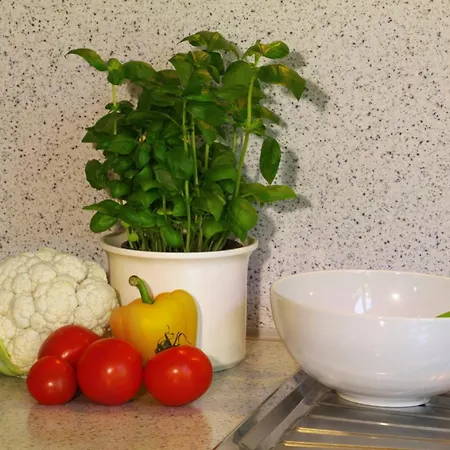 Refugium Appartement *