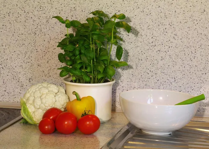 Refugium Apartment *